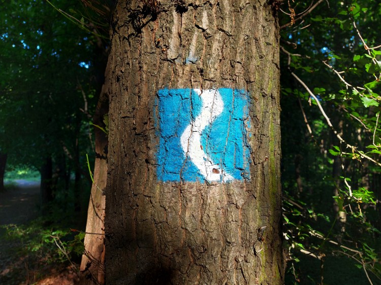 Die Wegmarkierung am Rheinsteig.