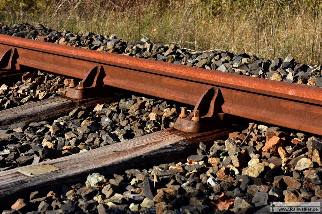 Die Stuhlschienen wurden ab den 1930er Jahren nicht mehr neu verlegt. Diese hier sind aus den 1920er Jahren - also knapp 100 Jahre alt.