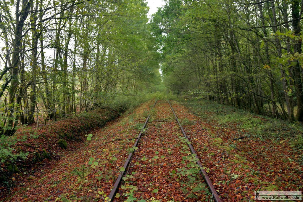 Zwischen Manois und Rimeaucourt.