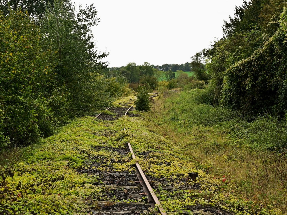 Bericht von unterwegs: Verdun – Valmy 2023 (1.&nbsp;Teil)