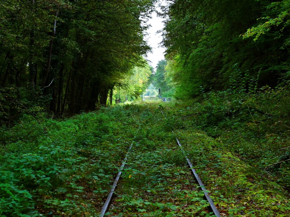 Bericht von Unterwegs: Kalhausen – Sarralbe&nbsp;(2)